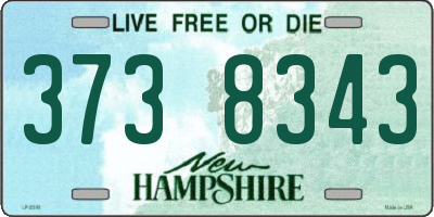 NH license plate 3738343