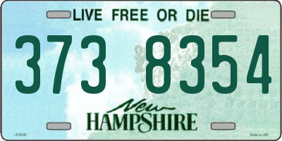 NH license plate 3738354