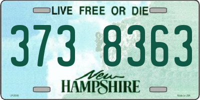 NH license plate 3738363