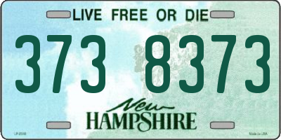 NH license plate 3738373