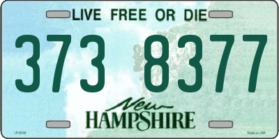 NH license plate 3738377