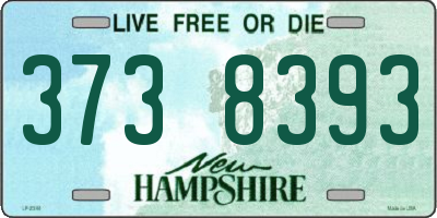 NH license plate 3738393