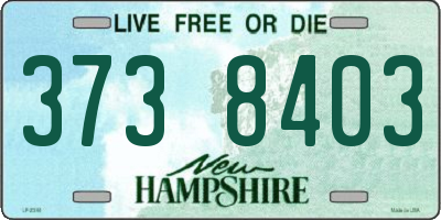 NH license plate 3738403