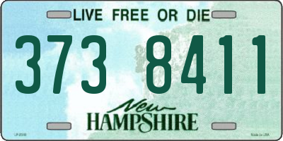 NH license plate 3738411