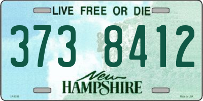 NH license plate 3738412