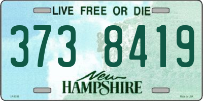 NH license plate 3738419