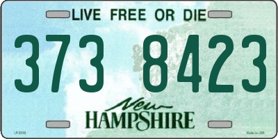 NH license plate 3738423