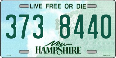 NH license plate 3738440