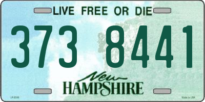 NH license plate 3738441