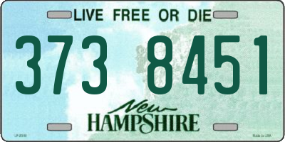 NH license plate 3738451