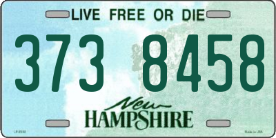 NH license plate 3738458