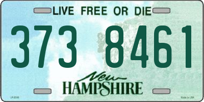 NH license plate 3738461