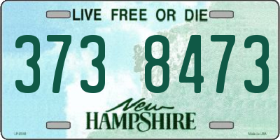 NH license plate 3738473