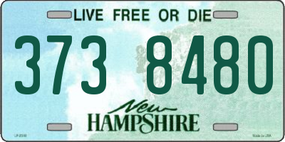 NH license plate 3738480