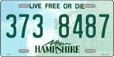 NH license plate 3738487