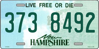 NH license plate 3738492