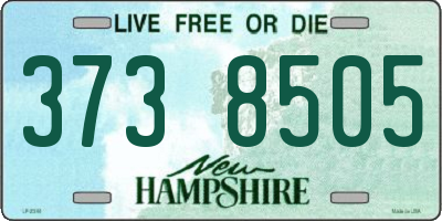 NH license plate 3738505