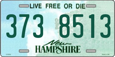 NH license plate 3738513
