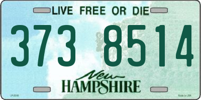 NH license plate 3738514