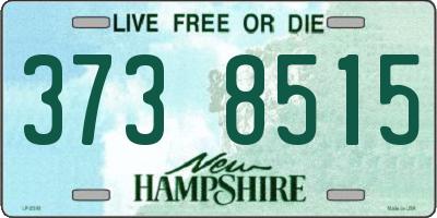 NH license plate 3738515