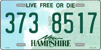 NH license plate 3738517