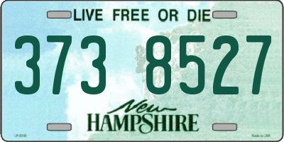 NH license plate 3738527
