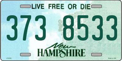NH license plate 3738533