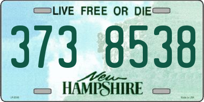 NH license plate 3738538
