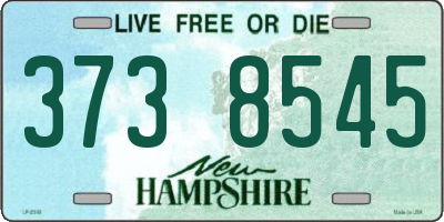 NH license plate 3738545