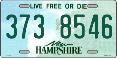 NH license plate 3738546