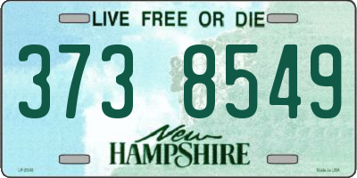 NH license plate 3738549