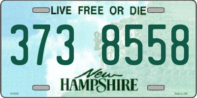NH license plate 3738558