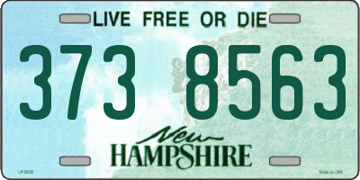 NH license plate 3738563