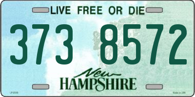 NH license plate 3738572
