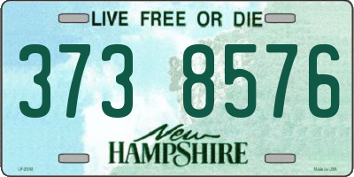 NH license plate 3738576