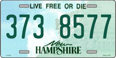 NH license plate 3738577