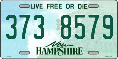 NH license plate 3738579