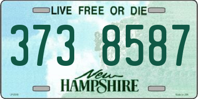 NH license plate 3738587