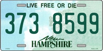 NH license plate 3738599