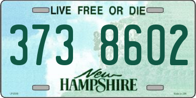 NH license plate 3738602