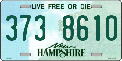 NH license plate 3738610