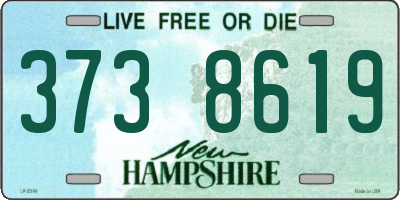 NH license plate 3738619