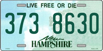 NH license plate 3738630
