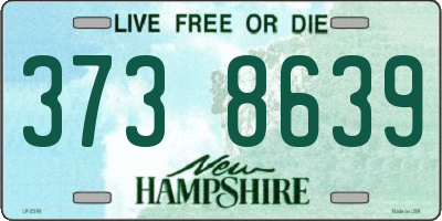NH license plate 3738639