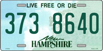 NH license plate 3738640