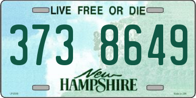 NH license plate 3738649
