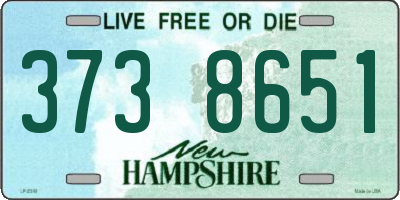 NH license plate 3738651