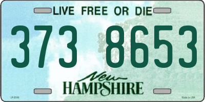 NH license plate 3738653