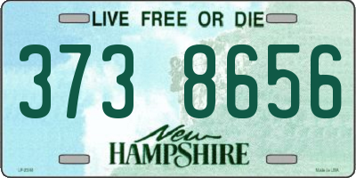 NH license plate 3738656