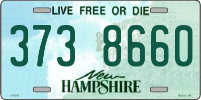 NH license plate 3738660